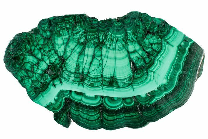 Flowery Polished Malachite Slab - DR Congo #302471